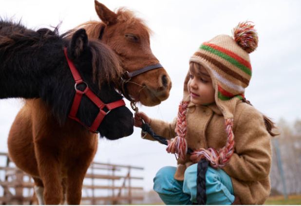 Maman et sa fillette tendent la main vers un cheval pie dans un pré