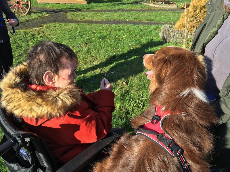 Accolade dans un parc entre une bénéficiaire et le chien médiateur