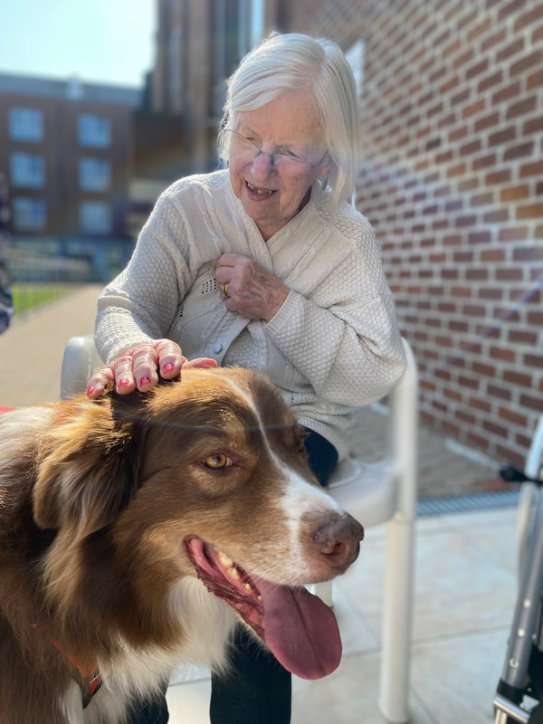 Cour en briques : résidente caressant le front du berger australien