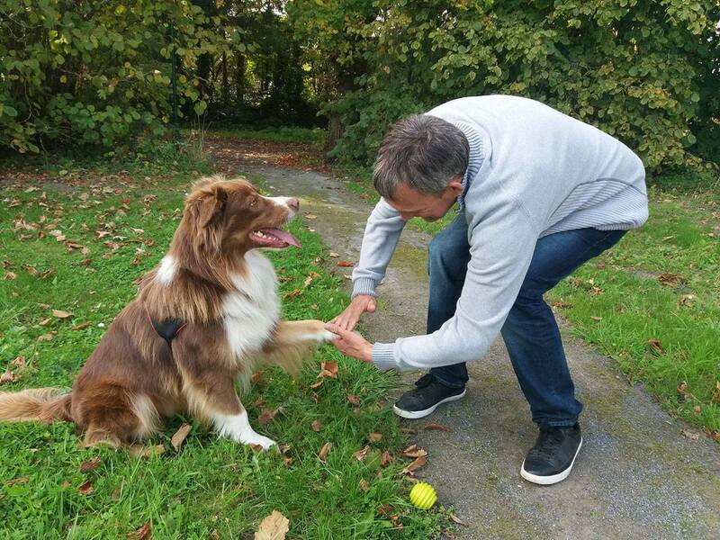 Le chien donne la patte à un monsieur, moment d'échange spontané