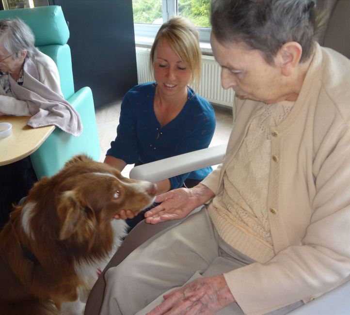 Atrium d'une maison de repos : dame aux cheveux blancs avec le berger australien