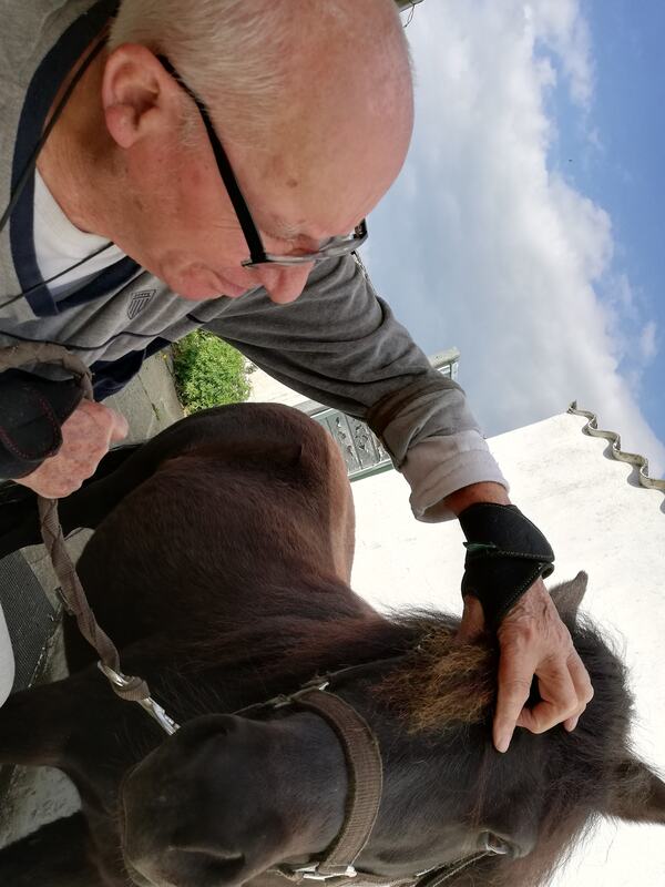 Le même monsieur prend le temps de brosser la crinière du poney