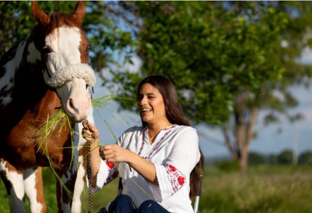 Femme accroupie tendant quelques brins d'herbe à un cheval pie dans la lumière chaude du soir